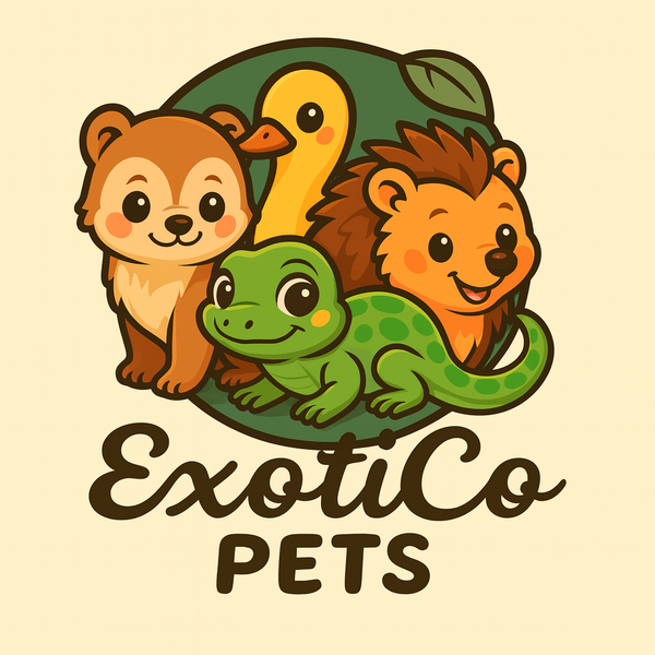 Illustration of cartoon animals with 'ExotiCo Pets' text on a beige background