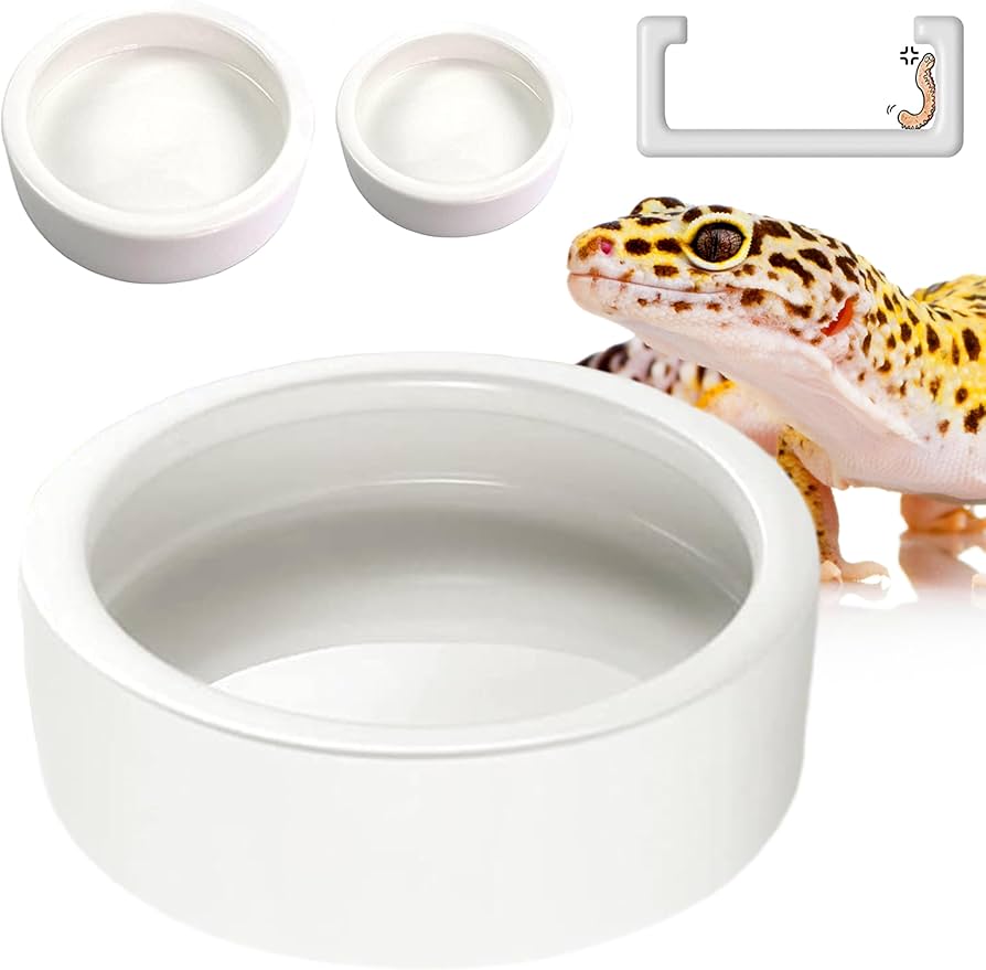 Escape proof reptile feeding bowl for insects